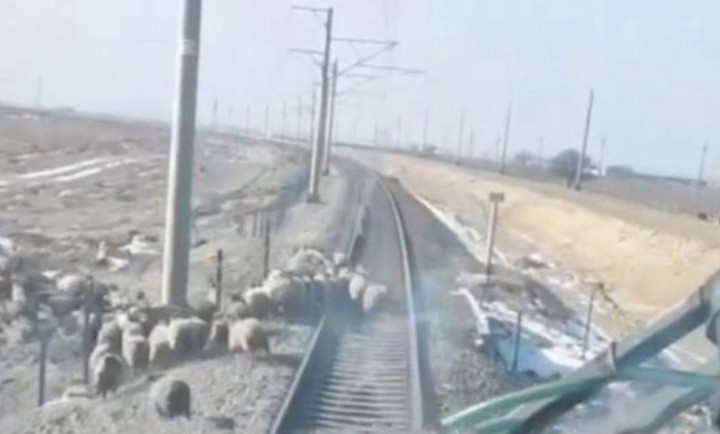 В Башкирии летний подросток, попавший в январе под поезд, скончался