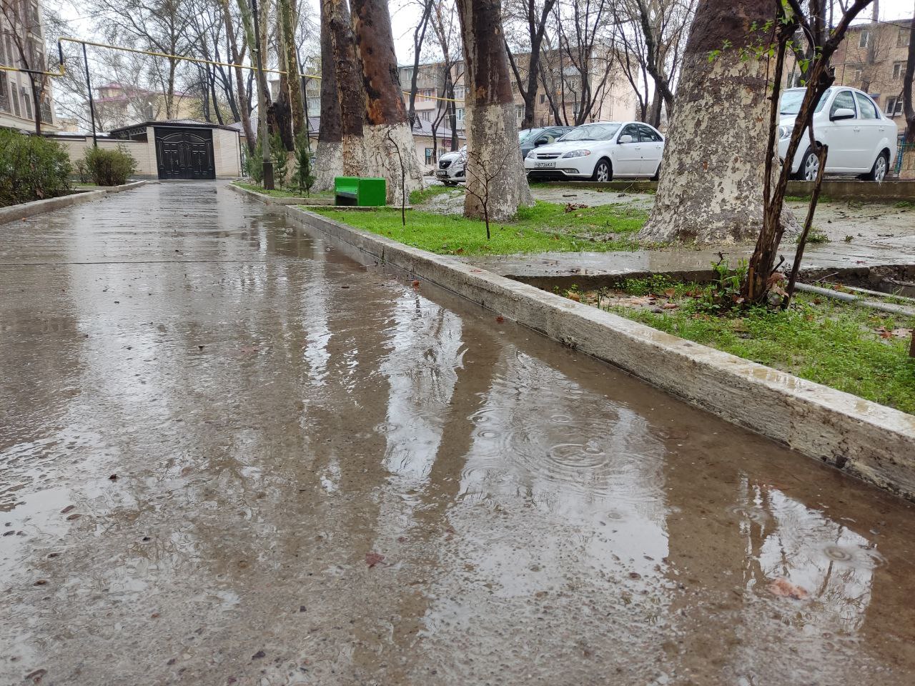 Погода в ташкенте сегодня по часам. Дождь в Ташкенте. Ливневые дожди в Ташкенте. Снег с дождем в Ташкенте. Ташкент март.