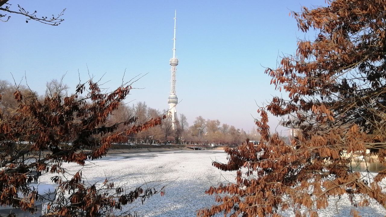 Погода ташкент на 10 2024. Ташкент климат. Ташкент с воздуха. Температура в Ташкенте сейчас. Погодные изменения в природе на январь 2023.